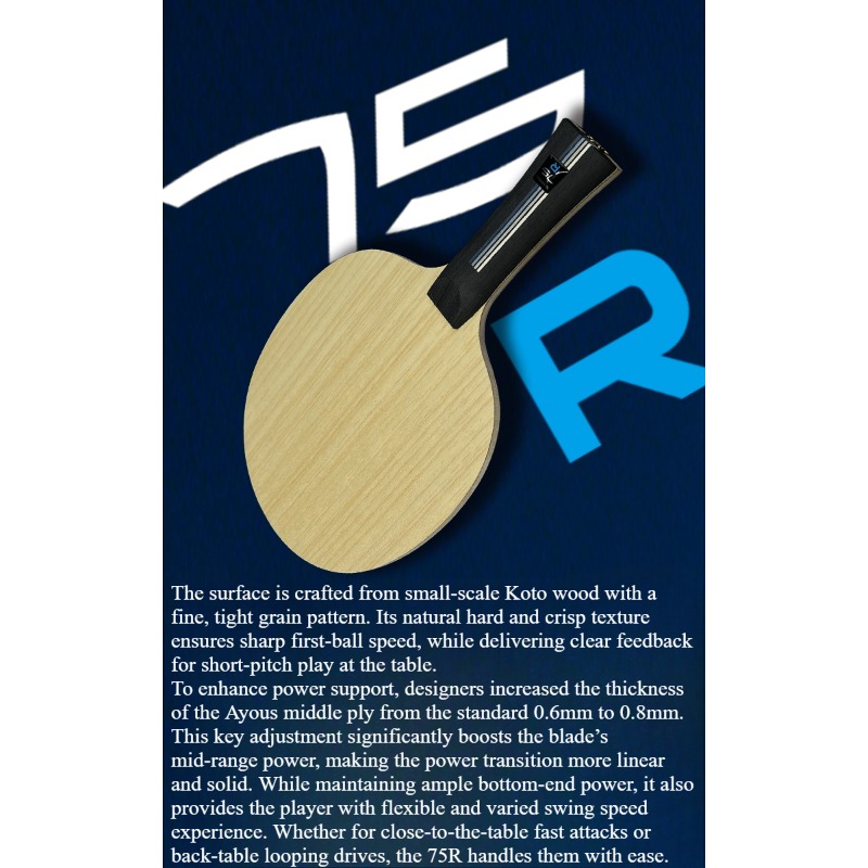 SANWEI 75R 5+2 Outer H-GLC Des – Table Tennis Blades recenzja i cena