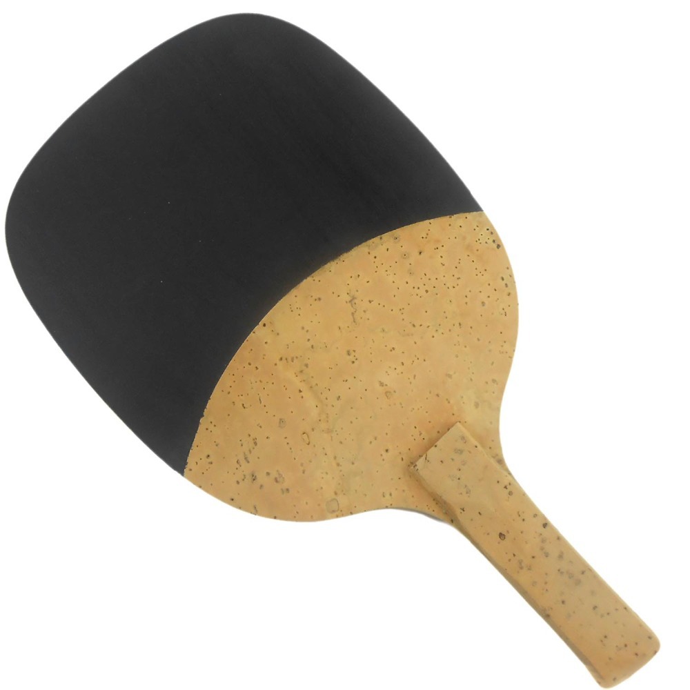 PALIO 8603 Carbon Titanium rak – Table Tennis Launcher recenzja i cena